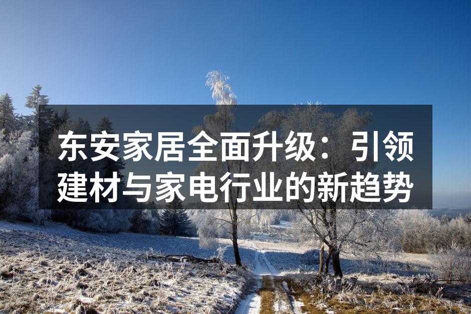 东安家居全面升级：引领建材与家电行业的新趋势