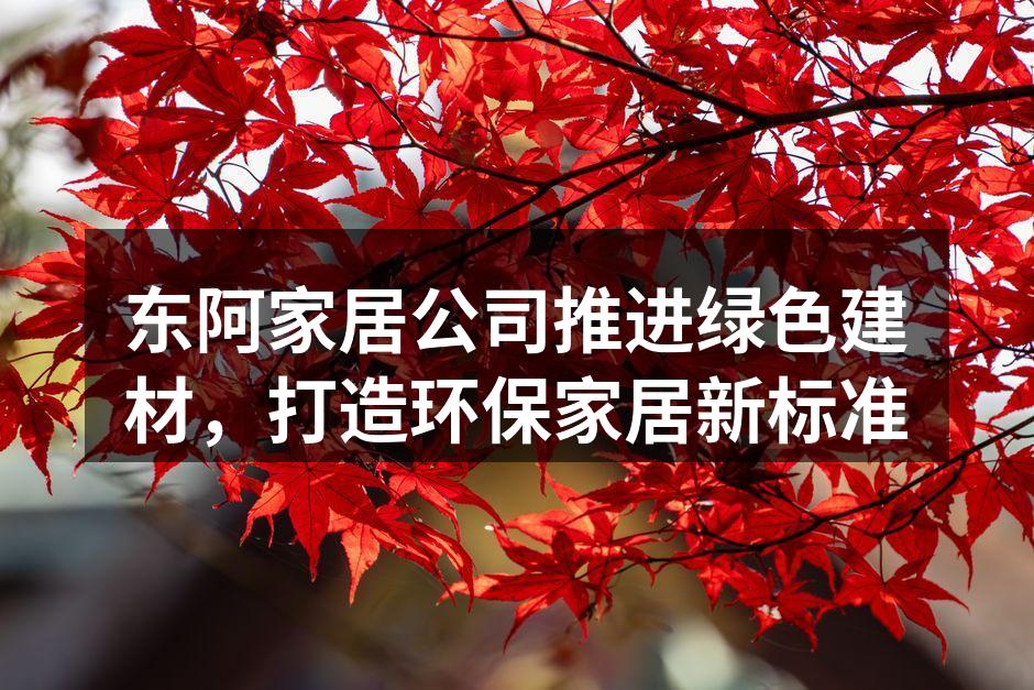 东阿家居公司推进绿色建材，打造环保家居新标准